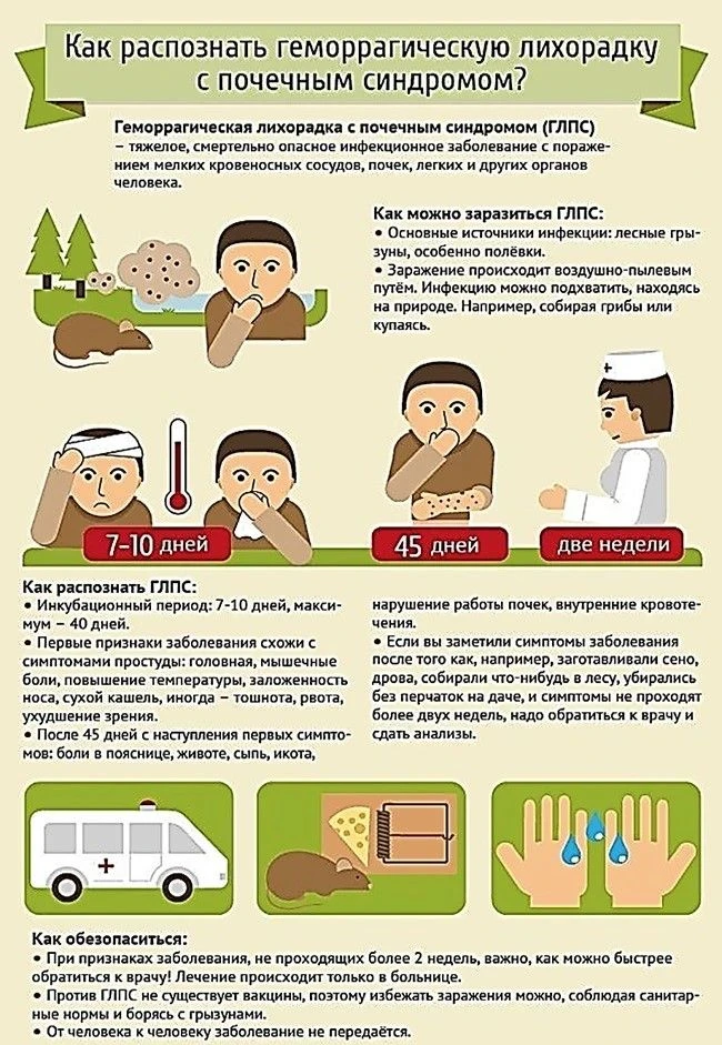 Берегите себя — здоровье бесценно!