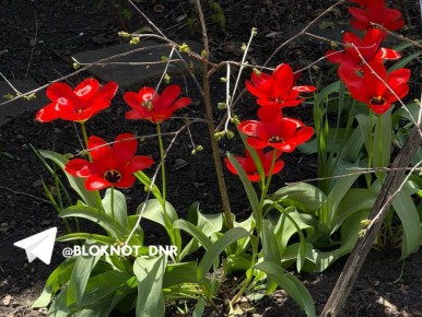 � ������� ������������ ��������