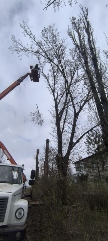 В Старобешевском округе продолжаются работы по кронированию аварийных деревьев В Старобешевском округе продолжаются работы по кронированию аварийных деревьев
