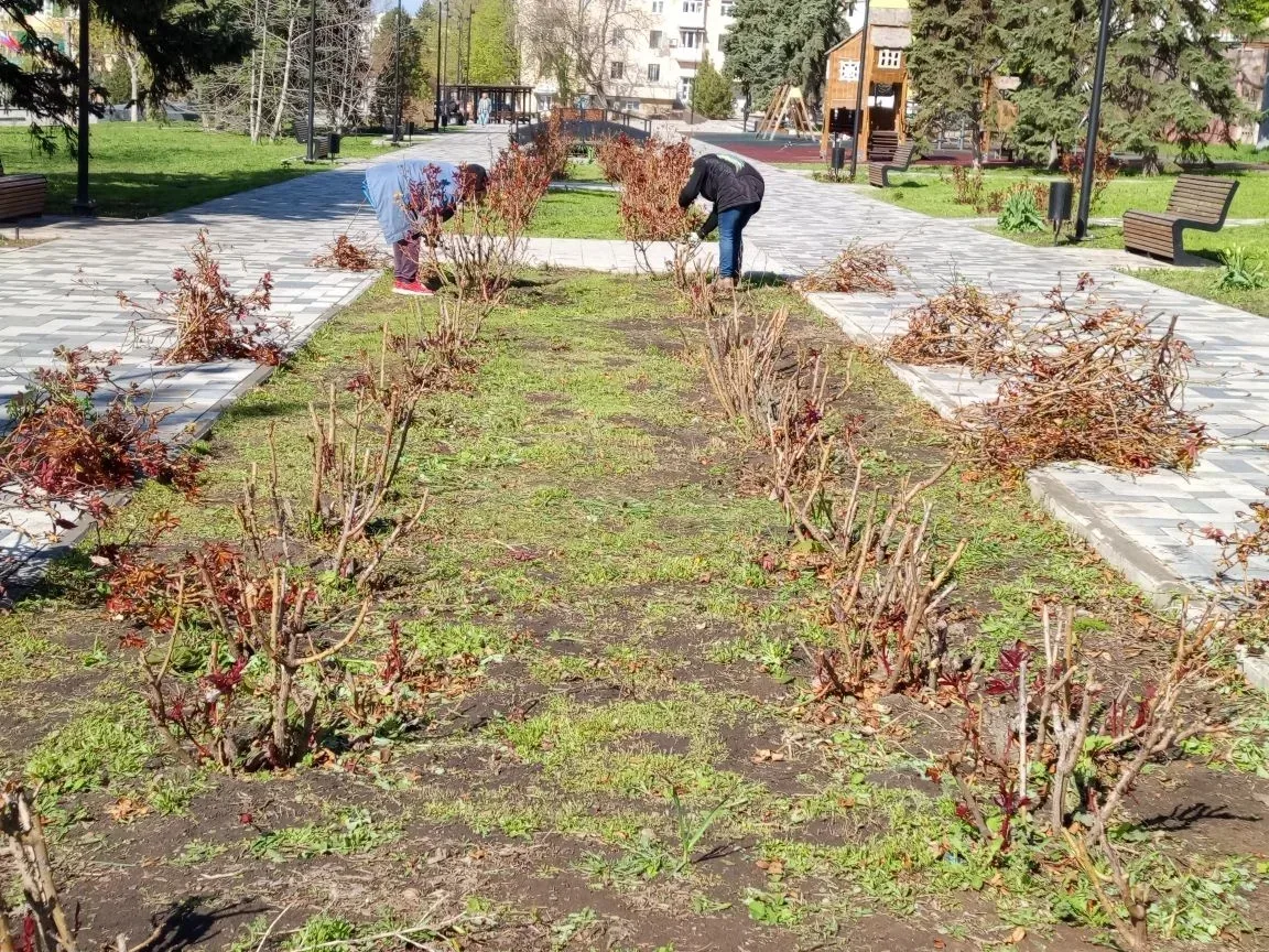 Оперативная сводка по благоустройству Амвросиевского округа за 15.04.2026 Оперативная сводка по благоустройству Амвросиевского округа за 15.04.2026