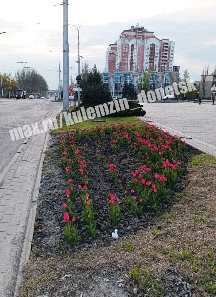 Алексей Кулемзин: Весна в Донецке: море тюльпанов и радости! Алексей Кулемзин: Весна в Донецке: море тюльпанов и радости!