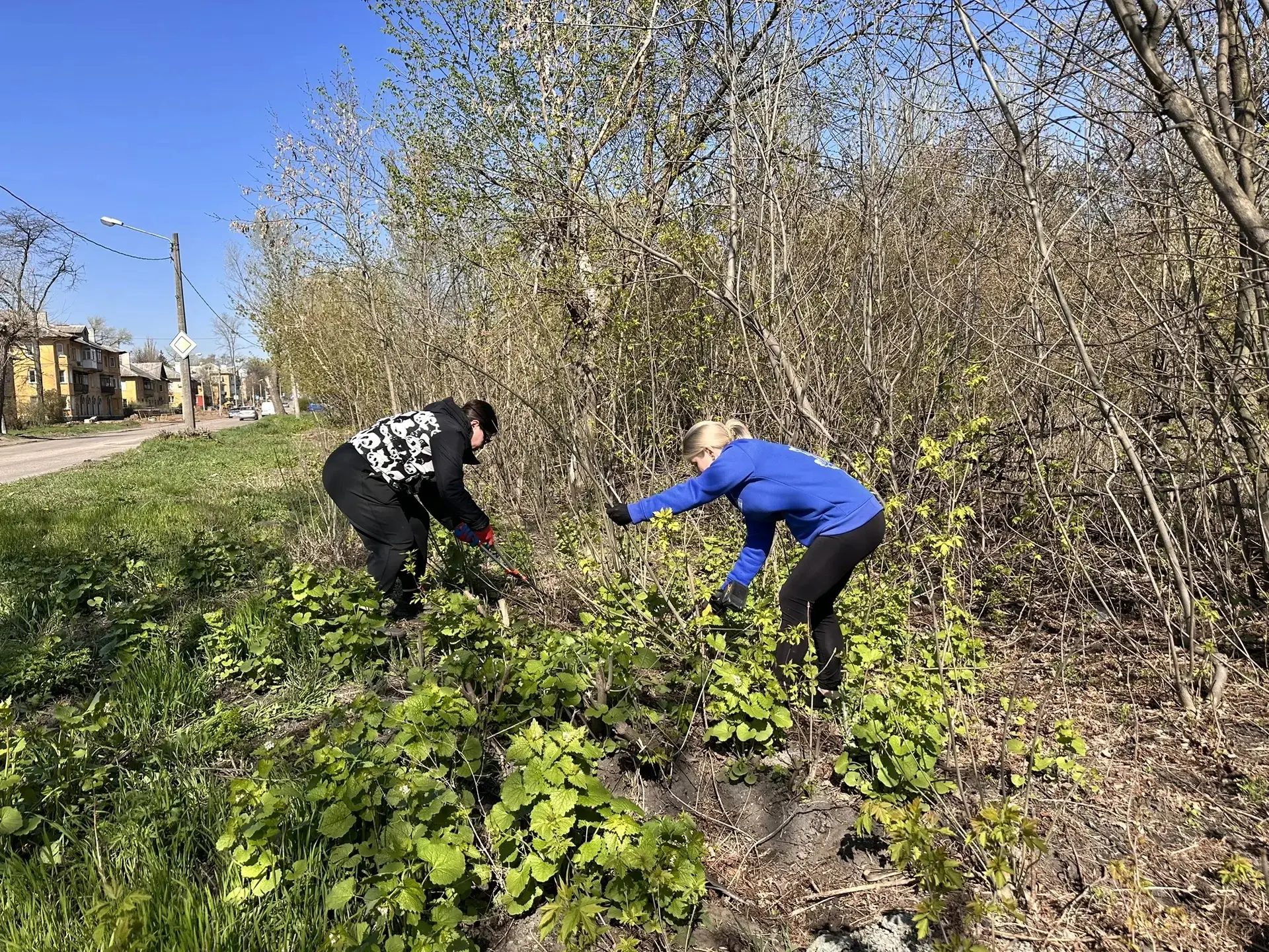 Елена Рязанцева: В Пролетарском районе состоялась традиционная акция "Чистый четверг" в рамках проекта "Городская среда" партии "Единая Россия" Елена Рязанцева: В Пролетарском районе состоялась традиционная акция "Чистый четверг" в рамках проекта "Городская среда" партии "Единая Россия"