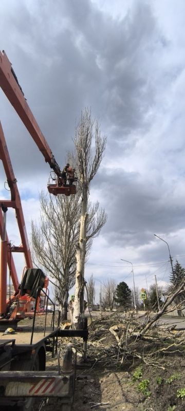 В Старобешевском округе продолжаются работы по кронированию аварийных деревьев В Старобешевском округе продолжаются работы по кронированию аварийных деревьев