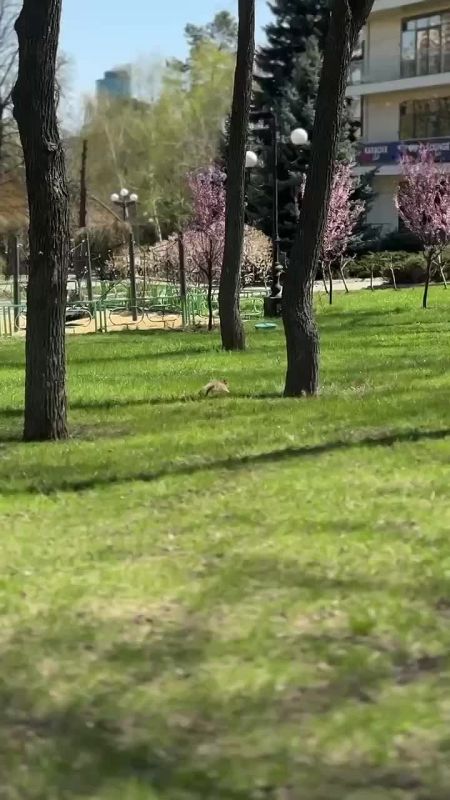 �������� ����� ������� �������� � ����� ���������