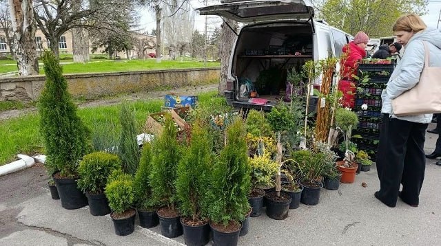 В поселке Старобешево прошла выездная торговая ярмарка В поселке Старобешево прошла выездная торговая ярмарка