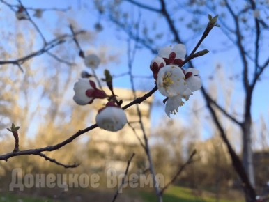 ������� ����������: � ���������������� ����������, ��� �������� ����������� ������� �� �������