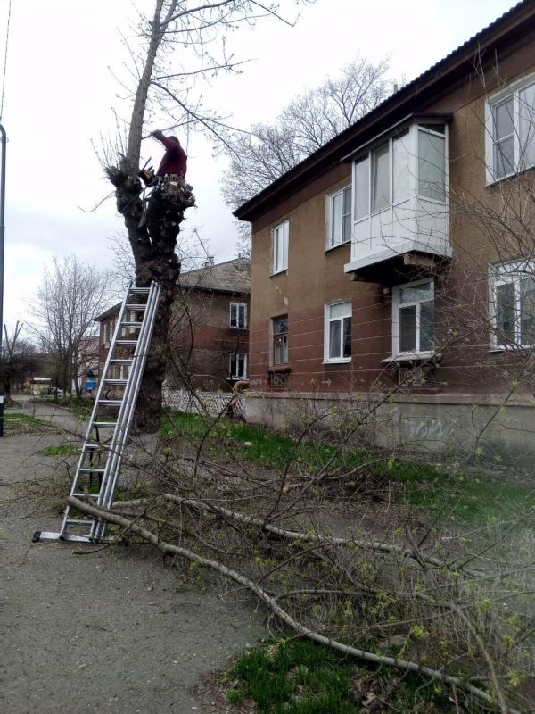В Старобешевском округе продолжаются работы по кронированию аварийных деревьев В Старобешевском округе продолжаются работы по кронированию аварийных деревьев