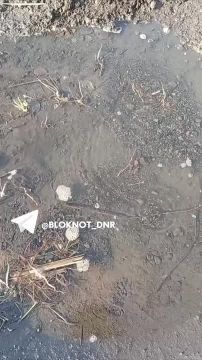 ������ �������� ����� ��� ����� ��� ����, ������� ����������� � ��� �� �������