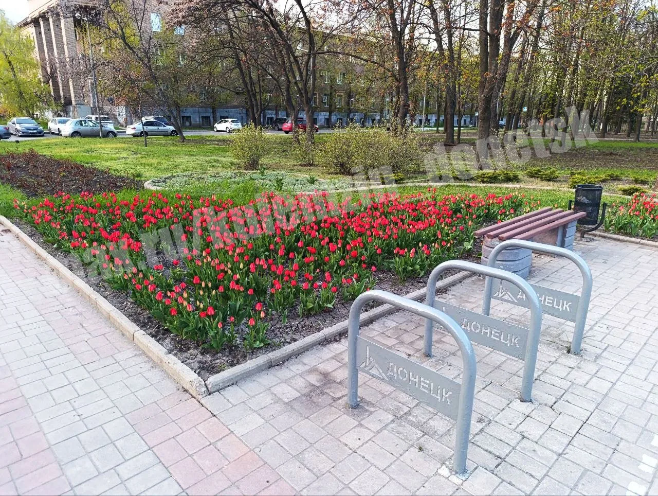 Алексей Кулемзин: Весна в Донецке: море тюльпанов и радости! Алексей Кулемзин: Весна в Донецке: море тюльпанов и радости!