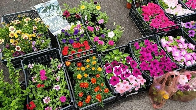 В поселке Старобешево прошла выездная торговая ярмарка В поселке Старобешево прошла выездная торговая ярмарка