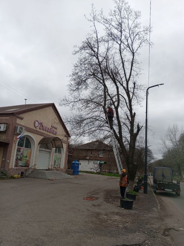 В Старобешевском округе продолжаются работы по кронированию аварийных деревьев В Старобешевском округе продолжаются работы по кронированию аварийных деревьев