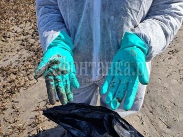 Волонтеры приехали в Кургальский заказник для уборки нефтяного загрязнения