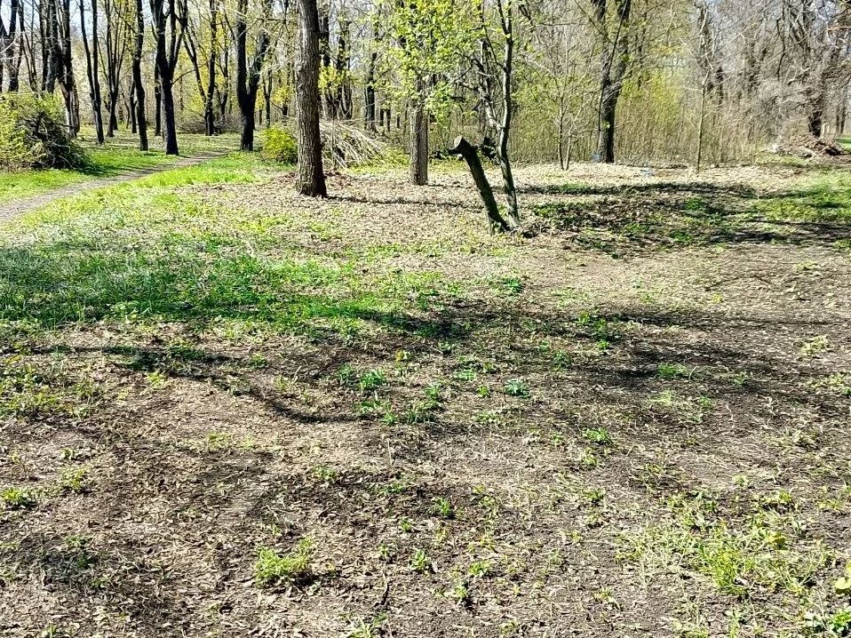 В Шахтерске провели очередной субботник В Шахтерске провели очередной субботник