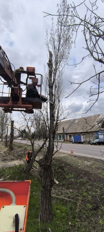 В Старобешевском округе продолжаются работы по кронированию аварийных деревьев В Старобешевском округе продолжаются работы по кронированию аварийных деревьев