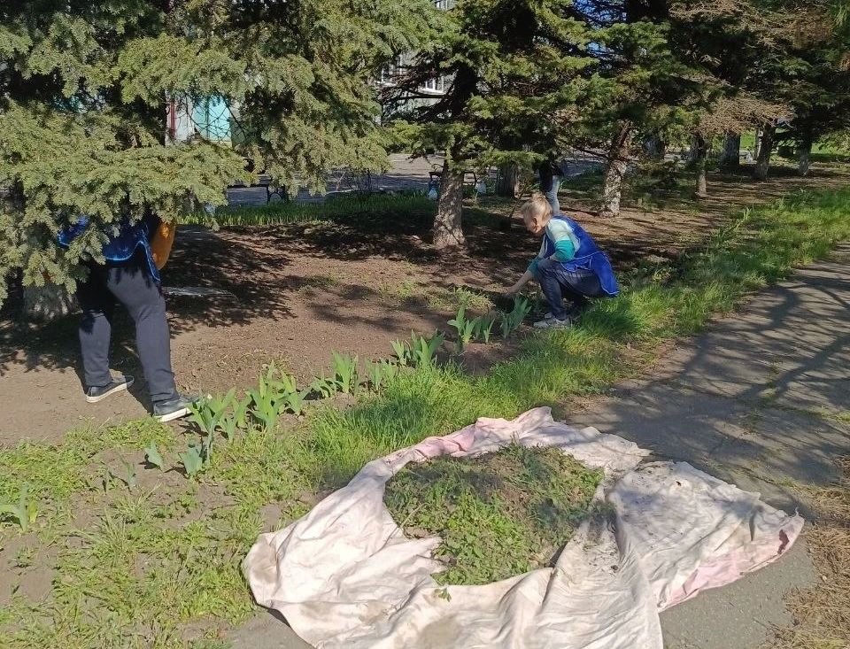 Сегодня, 16 апреля, предприятия, организации и учреждения Кировского внутригородского района города Макеевки продолжают работы по наведению санитарного порядка Сегодня, 16 апреля, предприятия, организации и учреждения Кировского внутригородского района города Макеевки продолжают работы по наведению санитарного порядка