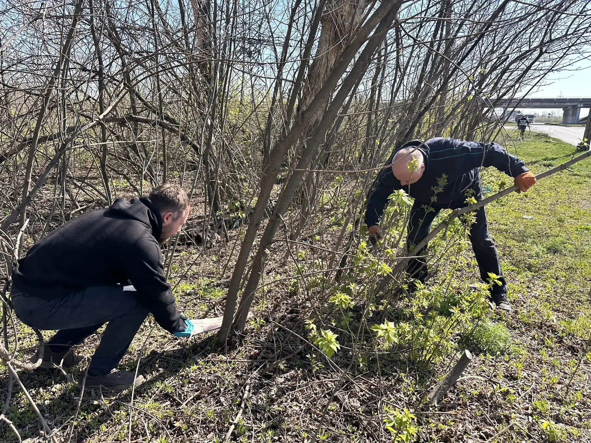 Елена Рязанцева: В Пролетарском районе состоялась традиционная акция "Чистый четверг" в рамках проекта "Городская среда" партии "Единая Россия" Елена Рязанцева: В Пролетарском районе состоялась традиционная акция "Чистый четверг" в рамках проекта "Городская среда" партии "Единая Россия"