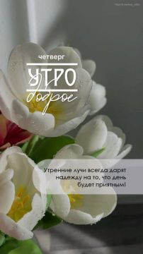 Доброе утро!. Чудесного настроения, дорогие подписчики! Официальный сайт администрации