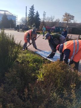 Коммунальщики освобождают от карантинных растений зеленые зоны