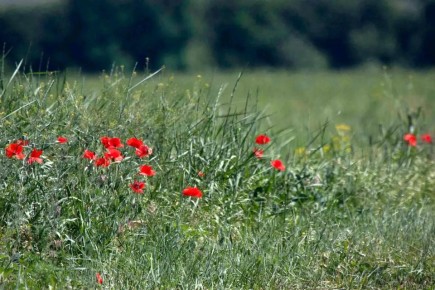 ��������������� ��������� ������� ���� ����������� ��� ��������� �������, � ��������� ����� ����������� � ����� ������� � ����� � �������������� ������ ���������� ������������� ��� � ���������� ���������� �������������...