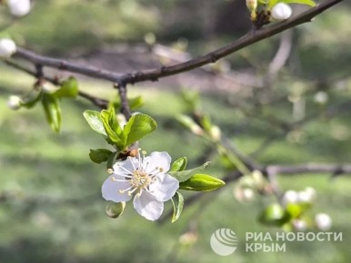 ������ �� ����� ����������� ������