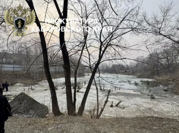 ����������� ��������������� ������ �. ���������� �������� �������� � ����� � ������������� �� �������