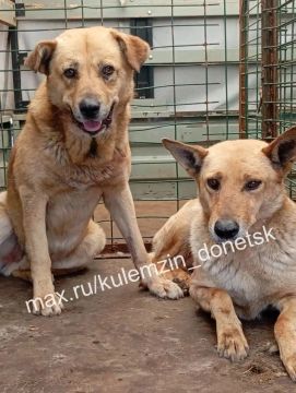 ������� ��������: ������ ���� ���������� ����������� ��������� � ������ �������� ������ �� ������ � ����� �� ������������� ������������� �������� � �������