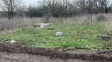 ������ ��������: ������ ������ ���������� ���� ����������� ����� ������ �� ��������� ����� ��� � ������������� �����������