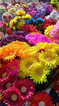 � ������� ������ �������. 17 ������ � ��������� ������ ����������� ������������ �������� � �������� �� ������� �������������� � ���������������� �������, ��������, ���������, �������, ������, ��������� � ������ ����������...