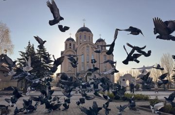 ����������� ����� ��������� � �������� �� ��� ������ ���� �����������