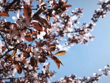 17 ������ � ���������� ���������� ����������, ��� ������������ �������