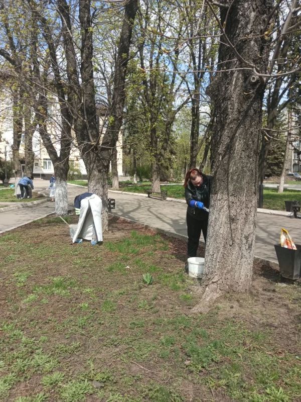 В рамках обще республиканского субботника сотрудники МБУ ЦКИД пробелили деревья аллеи возле ДДШИ и детской площадки В рамках обще республиканского субботника сотрудники МБУ ЦКИД пробелили деревья аллеи возле ДДШИ и детской площадки