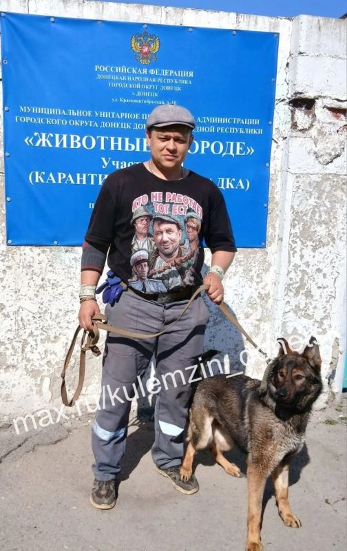 Алексей Кулемзин: Каждый день сотрудники предприятия «Животные в городе» проводят работу по отлову и уходу за безнадзорными четвероногими друзьями в Донецке Алексей Кулемзин: Каждый день сотрудники предприятия «Животные в городе» проводят работу по отлову и уходу за безнадзорными четвероногими друзьями в Донецке