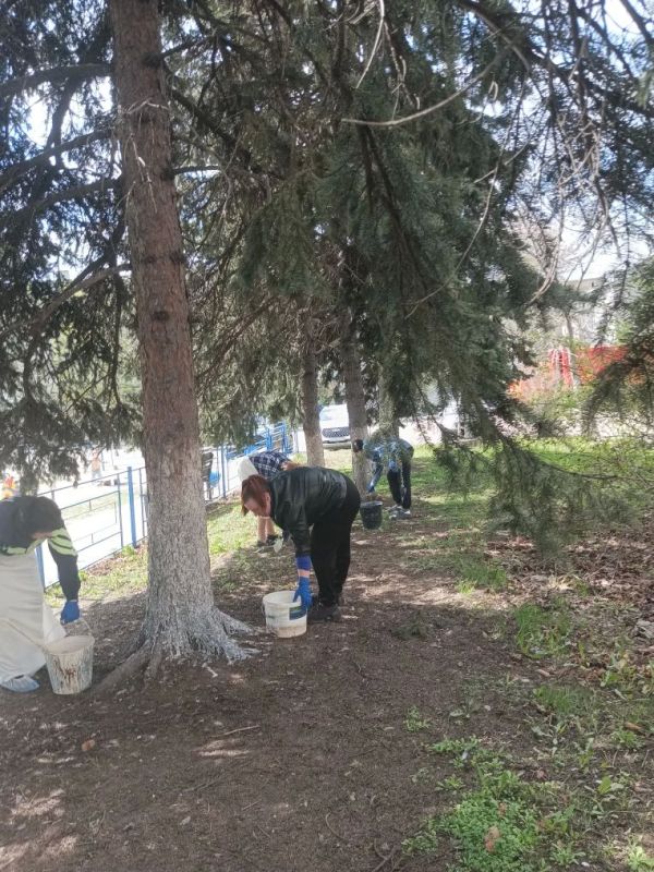 В рамках обще республиканского субботника сотрудники МБУ ЦКИД пробелили деревья аллеи возле ДДШИ и детской площадки В рамках обще республиканского субботника сотрудники МБУ ЦКИД пробелили деревья аллеи возле ДДШИ и детской площадки