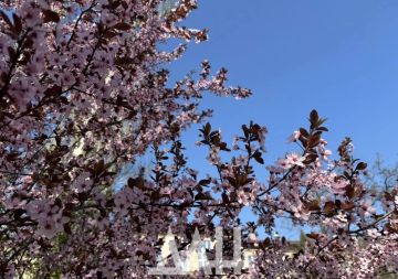 �� �������� ��������������� � ������, ������� �������� �� ��� �����, ������� �����