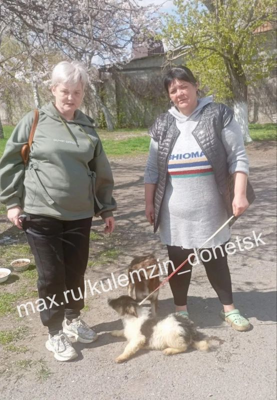 Алексей Кулемзин: Каждый день сотрудники предприятия «Животные в городе» проводят работу по отлову и уходу за безнадзорными четвероногими друзьями в Донецке Алексей Кулемзин: Каждый день сотрудники предприятия «Животные в городе» проводят работу по отлову и уходу за безнадзорными четвероногими друзьями в Донецке