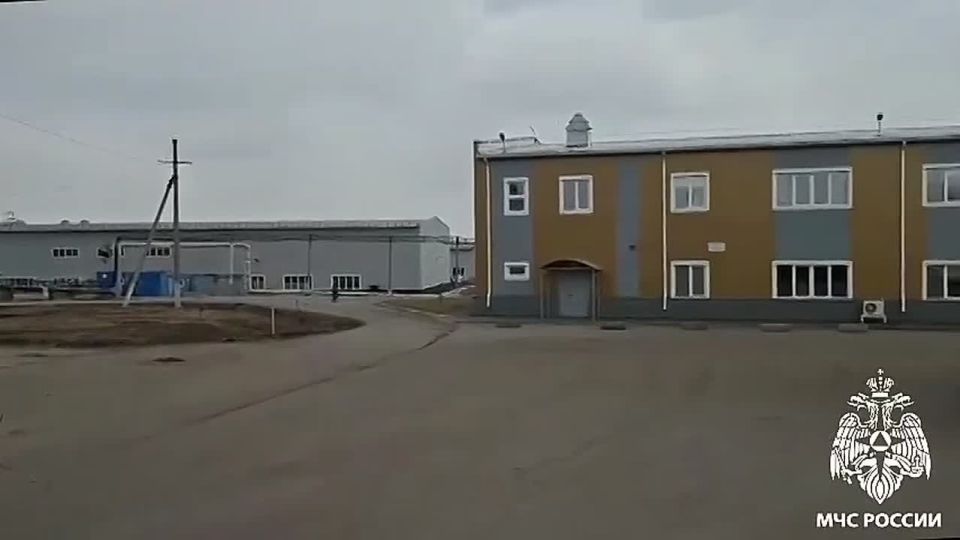 ������ ����� ������������ (������ � ��������������� �����������-����������) � ��������, ��� ���� ������������ 122 ������� ����� ����������, ��������������, �������� � �� ��� �� �������