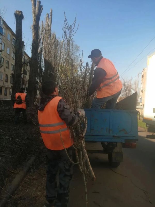 Коммунальщики Снежного продолжают благоустраивать территории общего пользования Коммунальщики Снежного продолжают благоустраивать территории общего пользования