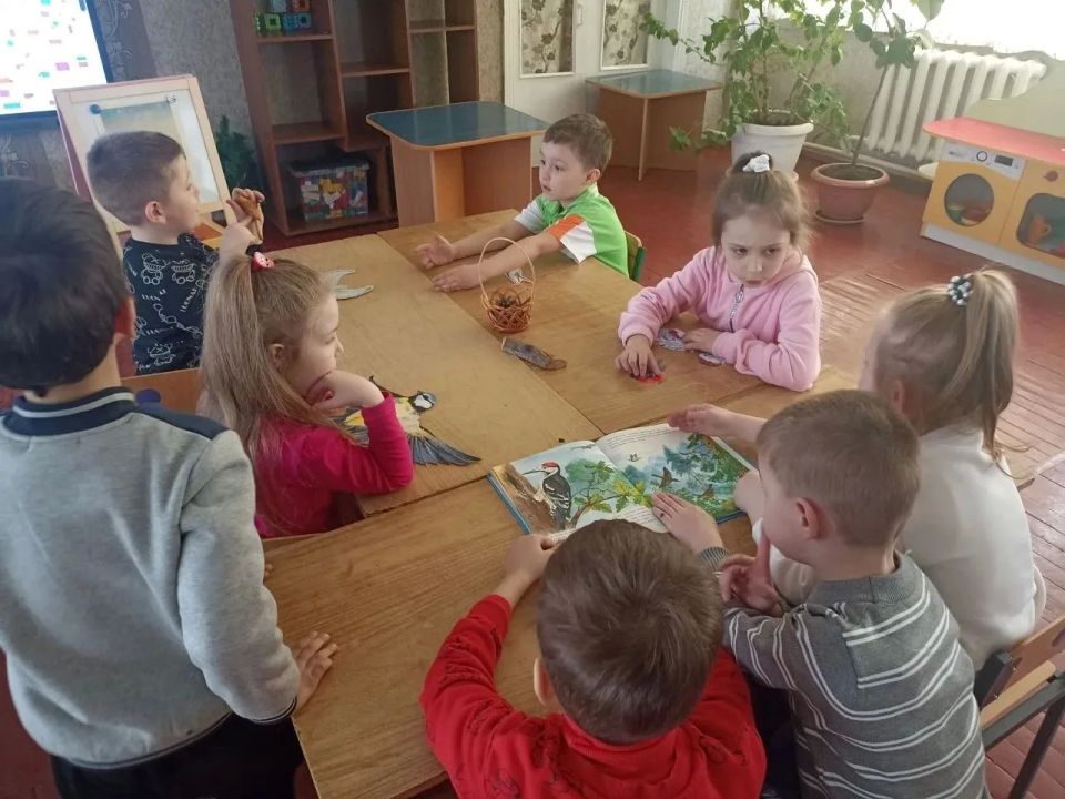 Эко-дозор «Крылатые соседи, пернатые друзья» Эко-дозор «Крылатые соседи, пернатые друзья»