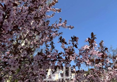 �� �������� ��������������� � ������, ������� �������� �� ��� �����, ������� �����