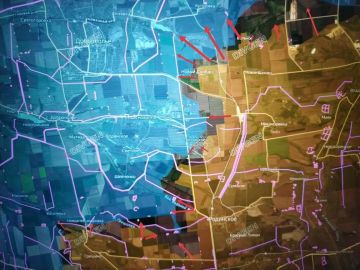 ���� �������: ����������� �����������. ������������� �������