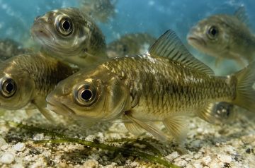 � �������� ���� �������� ����� ����� �������