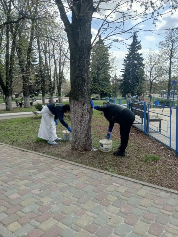 В рамках обще республиканского субботника сотрудники МБУ ЦКИД пробелили деревья аллеи возле ДДШИ и детской площадки В рамках обще республиканского субботника сотрудники МБУ ЦКИД пробелили деревья аллеи возле ДДШИ и детской площадки