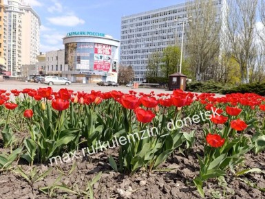 �������������� �������� ������� � ������� �������!