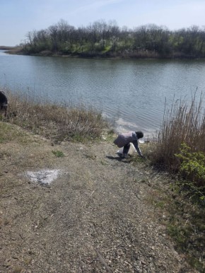 ���������� ���� " �� � 12 ����� �. ������� �.�.�������� ������� ������� ������� ����������