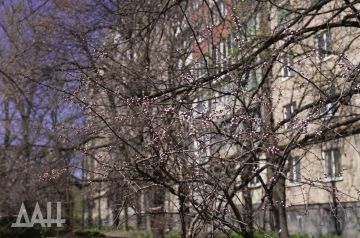 � ��� ��������� ����������� ����� ������ �������