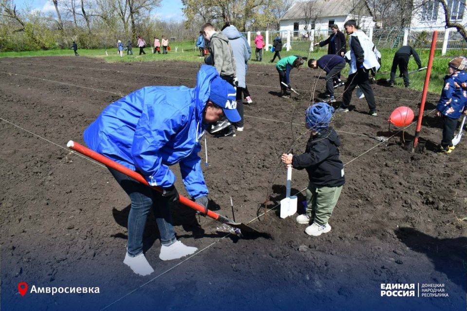 Память не умирает – она прорастает корнями Память не умирает – она прорастает корнями