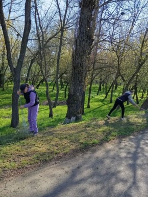 ��� ��������� ����������� ���� � ������ ����������