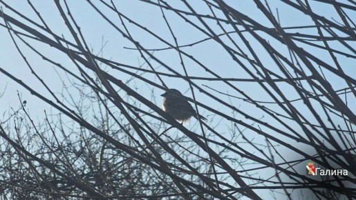 ����� ��������: ������ ����!. #�������� #������������������ #���������������