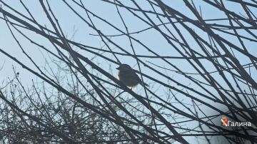 ����� ��������: ������ ����!. #�������� #������������������ #���������������