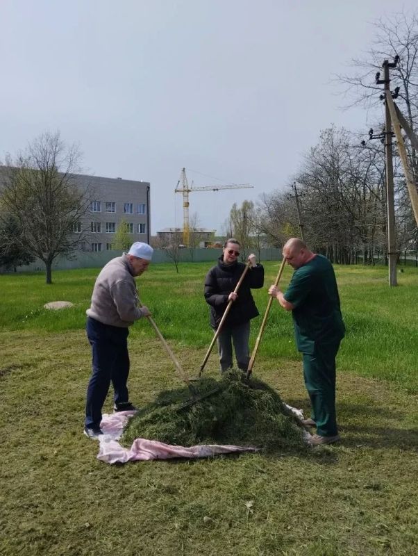Наталья Великодная: В Тельмановском округе проведен очередной субботник Наталья Великодная: В Тельмановском округе проведен очередной субботник